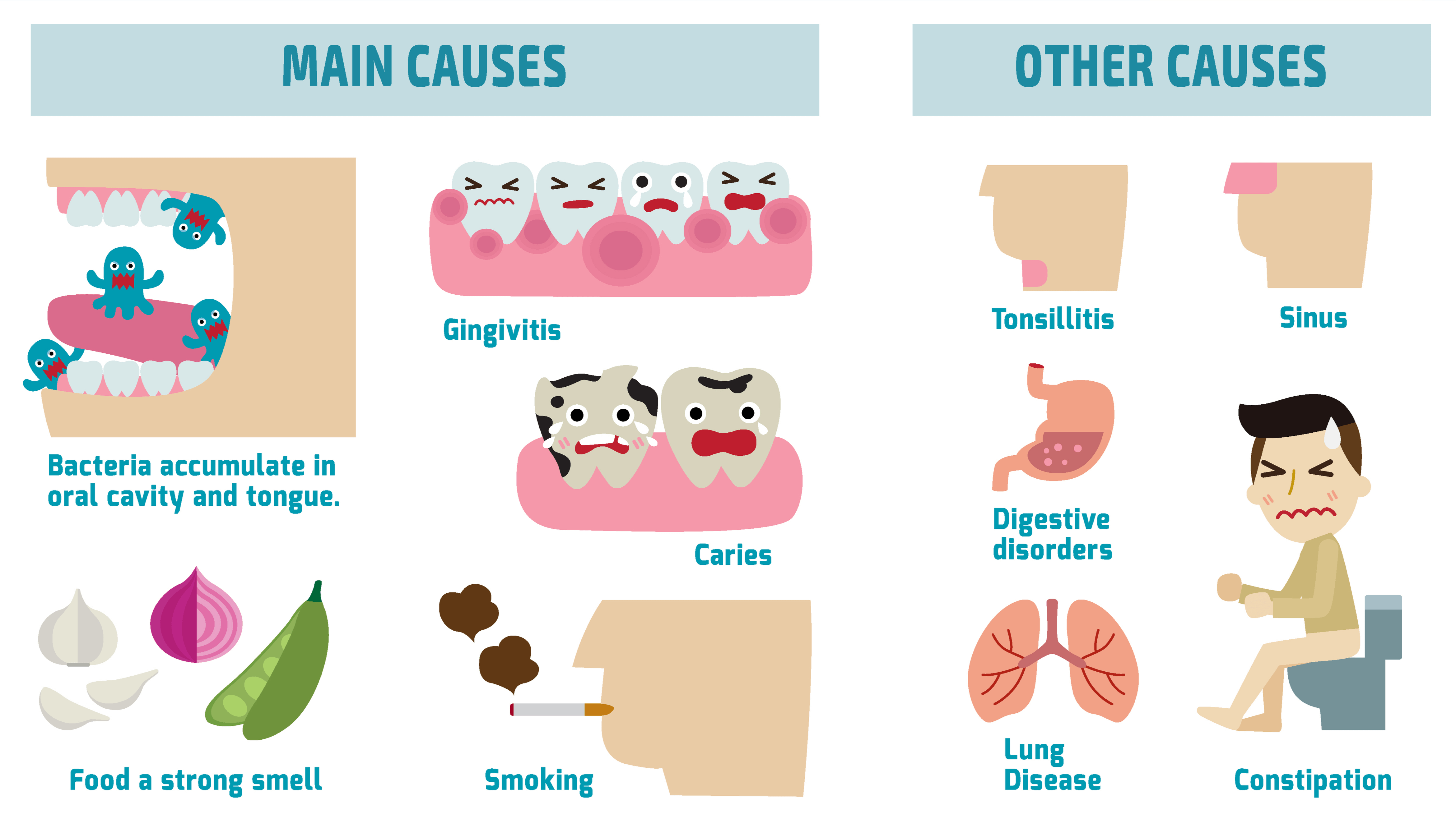 Bad Breath: Symptoms, Causes, and Treatment - Scientific Animations